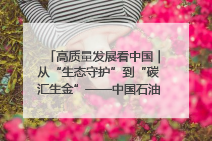高质量发展看中国｜从“生态守护”到“碳汇生金”——中国石油大庆油田绿色蝶变