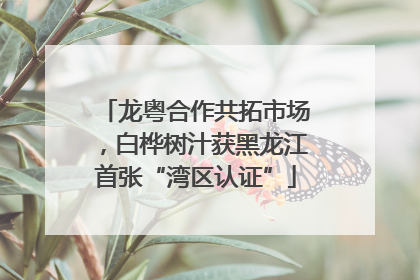 龙粤合作共拓市场，白桦树汁获黑龙江首张“湾区认证”