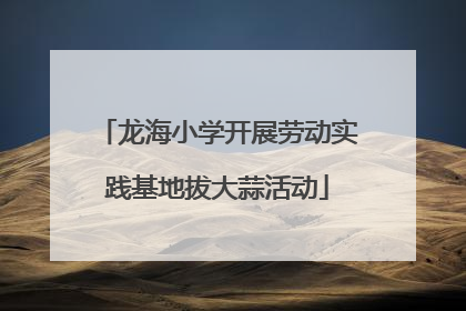 龙海小学开展劳动实践基地拔大蒜活动