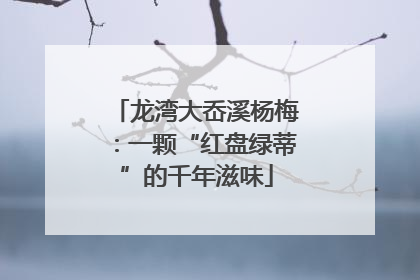 龙湾大岙溪杨梅：一颗“红盘绿蒂”的千年滋味