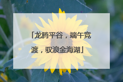 龙腾平谷，端午竞渡，驭浪金海湖
