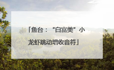 鱼台：“白富美”小龙虾跳动增收音符