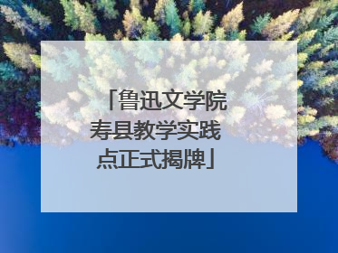 鲁迅文学院寿县教学实践点正式揭牌
