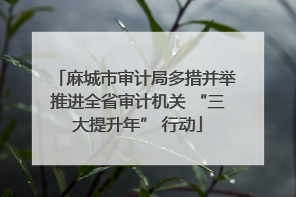 麻城市审计局多措并举推进全省审计机关 “三大提升年” 行动