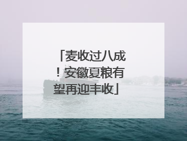麦收过八成！安徽夏粮有望再迎丰收