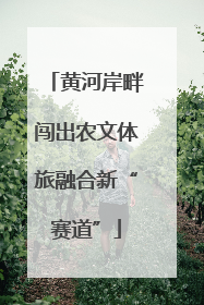 黄河岸畔闯出农文体旅融合新“赛道”