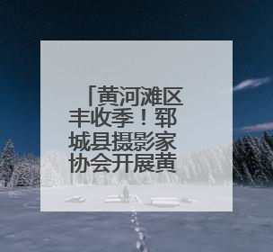 黄河滩区丰收季！郓城县摄影家协会开展黄河滩区丰收节志愿服务活动