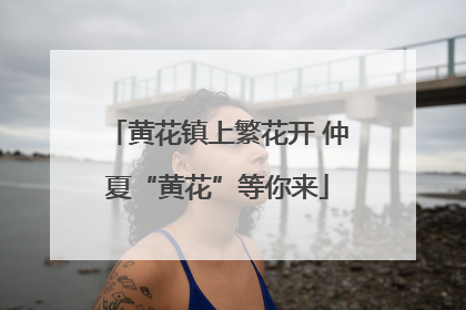 黄花镇上繁花开 仲夏“黄花”等你来