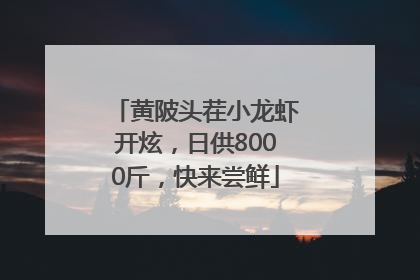 黄陂头茬小龙虾开炫，日供8000斤，快来尝鲜