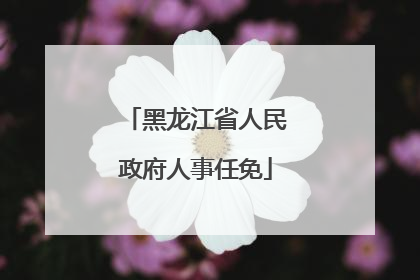 黑龙江省人民政府人事任免