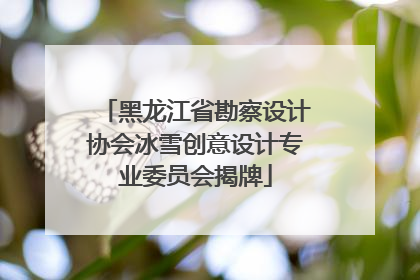 黑龙江省勘察设计协会冰雪创意设计专业委员会揭牌