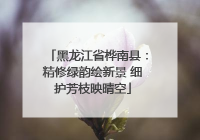 黑龙江省桦南县：精修绿韵绘新景 细护芳枝映晴空