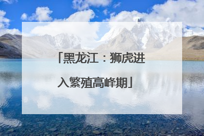 黑龙江：狮虎进入繁殖高峰期