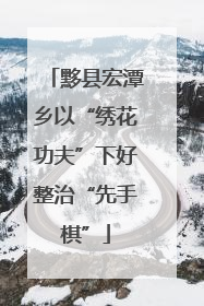 黟县宏潭乡以“绣花功夫”下好整治“先手棋”