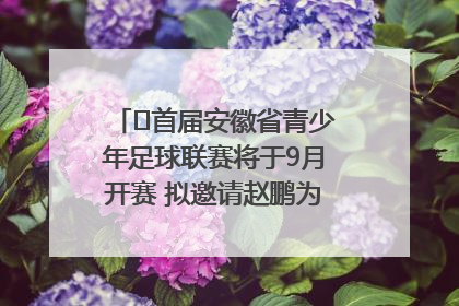 ﻿首届安徽省青少年足球联赛将于9月开赛 拟邀请赵鹏为先导赛开球
