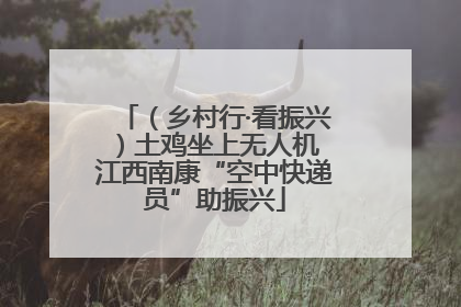 （乡村行·看振兴）土鸡坐上无人机 江西南康“空中快递员”助振兴