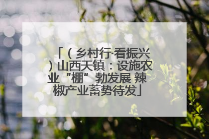 （乡村行·看振兴）山西天镇：设施农业“棚”勃发展 辣椒产业蓄势待发