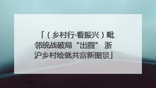 （乡村行·看振兴）毗邻统战破局“出圈” 浙沪乡村绘就共富新图景
