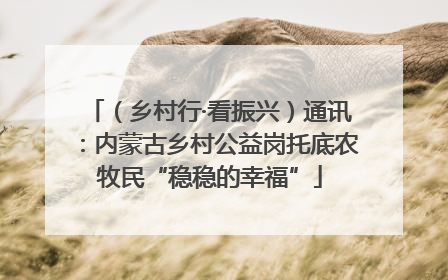 （乡村行·看振兴）通讯：内蒙古乡村公益岗托底农牧民“稳稳的幸福”