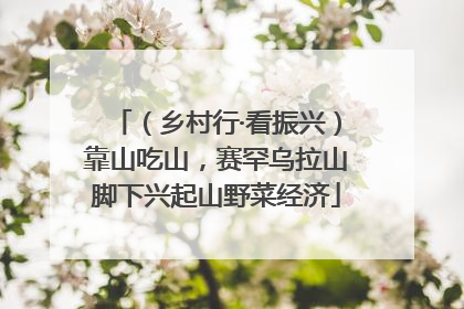 （乡村行·看振兴）靠山吃山，赛罕乌拉山脚下兴起山野菜经济