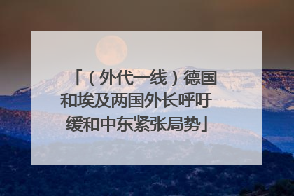 （外代一线）德国和埃及两国外长呼吁缓和中东紧张局势