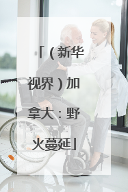 （新华视界）加拿大：野火蔓延