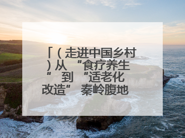 （走进中国乡村）从 “食疗养生” 到 “适老化改造” 秦岭腹地成康养“福地”