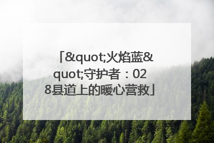 "火焰蓝"守护者：028县道上的暖心营救