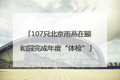 107只北京雨燕在颐和园完成年度“体检”
