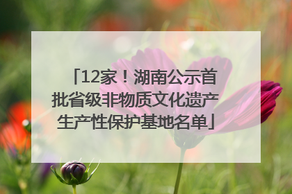 12家！湖南公示首批省级非物质文化遗产生产性保护基地名单