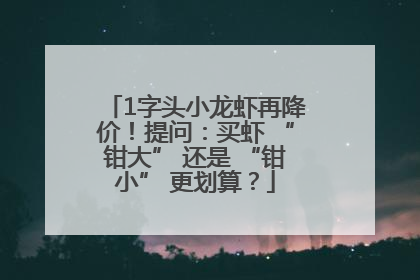 1字头小龙虾再降价！提问：买虾 “钳大” 还是 “钳小” 更划算？