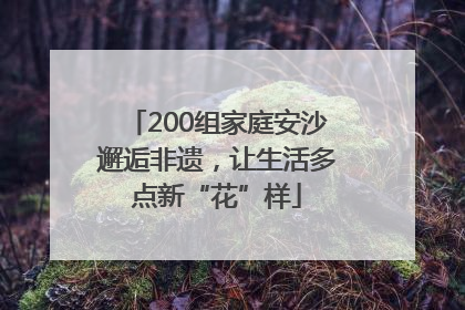 200组家庭安沙邂逅非遗，让生活多点新“花”样