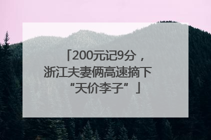 200元记9分，浙江夫妻俩高速摘下“天价李子”