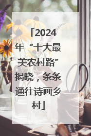 2024年“十大最美农村路”揭晓，条条通往诗画乡村