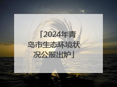 2024年青岛市生态环境状况公报出炉