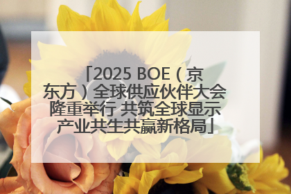 2025 BOE（京东方）全球供应伙伴大会隆重举行 共筑全球显示产业共生共赢新格局