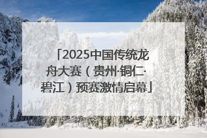 2025中国传统龙舟大赛（贵州·铜仁·碧江）预赛激情启幕
