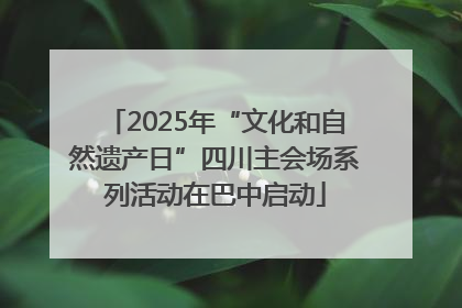 2025年“文化和自然遗产日”四川主会场系列活动在巴中启动