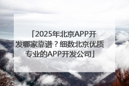 2025年北京APP开发哪家靠谱？细数北京优质专业的APP开发公司