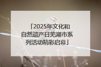 2025年文化和自然遗产日芜湖市系列活动精彩启幕
