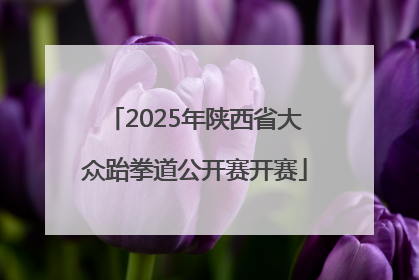 2025年陕西省大众跆拳道公开赛开赛