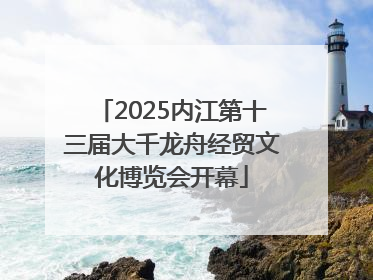 2025内江第十三届大千龙舟经贸文化博览会开幕