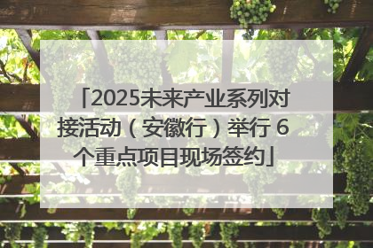 2025未来产业系列对接活动（安徽行）举行 6个重点项目现场签约