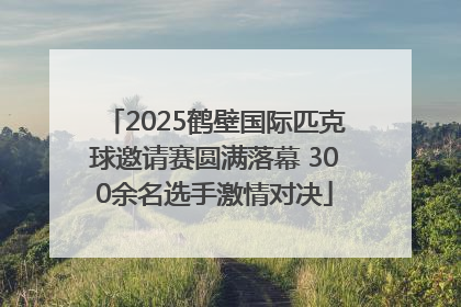 2025鹤壁国际匹克球邀请赛圆满落幕 300余名选手激情对决