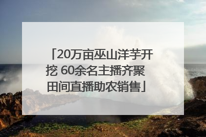 20万亩巫山洋芋开挖 60余名主播齐聚田间直播助农销售