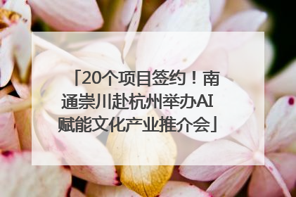 20个项目签约！南通崇川赴杭州举办AI赋能文化产业推介会