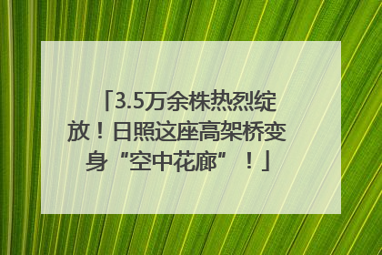 3.5万余株热烈绽放！日照这座高架桥变身“空中花廊”！