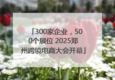 300家企业，500个展位 2025郑州跨境电商大会开幕