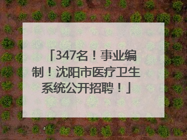 347名！事业编制！沈阳市医疗卫生系统公开招聘！