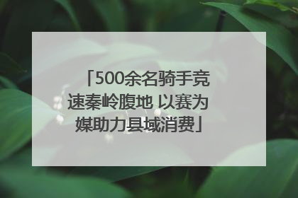500余名骑手竞速秦岭腹地 以赛为媒助力县域消费